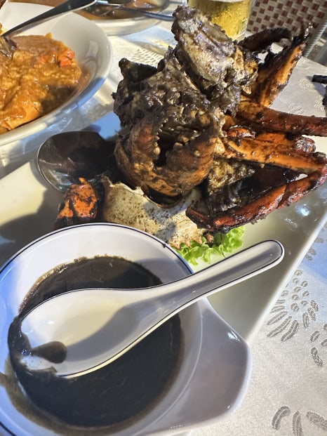 2023 Invisalign APAC 아시아학회 싱가포르에 다녀왔어요!!(인비절라인 아시아회담ㅣ마리나베이샌즈ㅣ싱가포르맛집) 관련 이미지 27