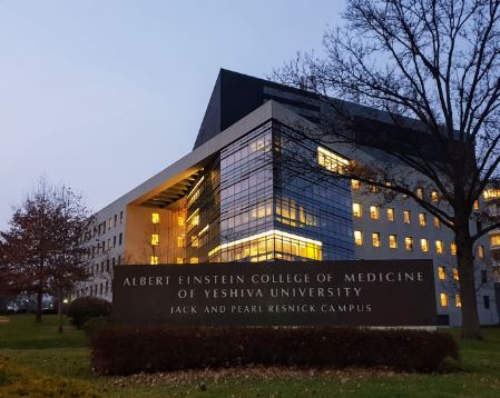 요즘 핫뉴스인 뉴욕 관련 이미지 5