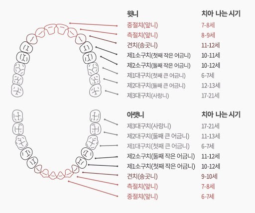 서울대입구 치과 에서 숨어있는 견치 와 매복 사랑니 까지 한 번에 안 아프게 뽑아드렸습니다. 관련 이미지 2