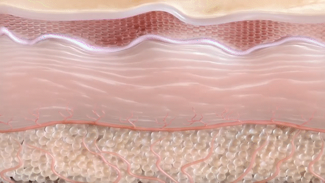 Hongdae Ulthera Prime: What Are the Standards of a Good Ulthera Clinic? image 4