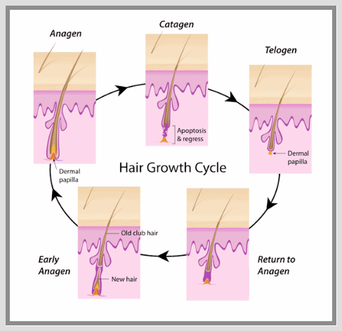 Sinchon Laser Hair Removal: Why a 5-Session Package May Not Be Enough image 3