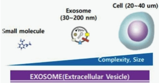 Hongdae Exosome: 2 Ways to Get It Without Wasting Your Money image 3