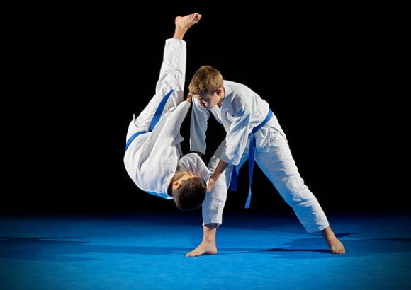 Which is better Japanese Jiu-Jitsu or Brazilian Jiu Jitsu? 관련 이미지 1
