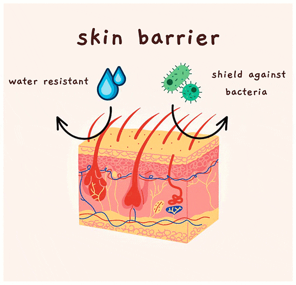 Hongdae Dermatology Clinic: Why You Should Check Whether It Is a Place You Can Keep Visiting image 5