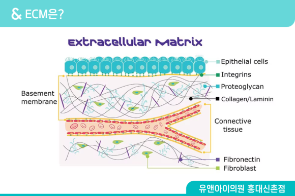 홍대 스킨부스터 종류 많은데, 내 피부엔 뭐가 맞을까 관련 이미지 3