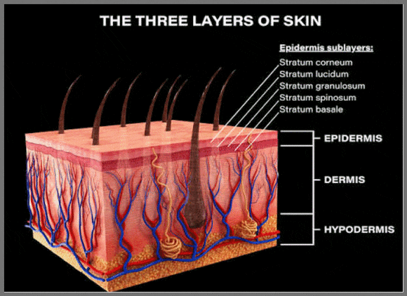 Why Do Recommended Dermatology Treatments in Mapo-gu Need to Be Repeated Several Times Before Their Effects Appear? image 2