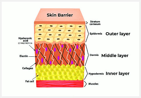 Why Do Recommended Dermatology Treatments in Mapo-gu Need to Be Repeated Several Times Before Their Effects Appear? image 8