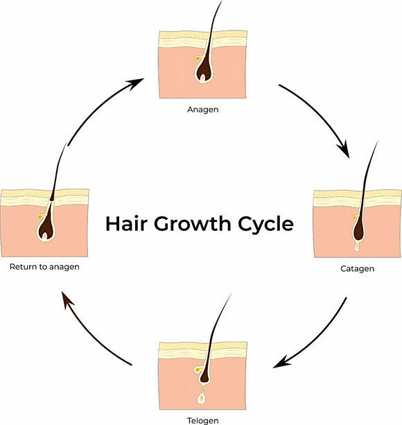 Frequently Asked Questions During a Shinchon Underarm Hair Removal Consultation: Number of Sessions and Pain, Organized image 3