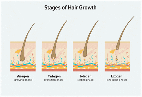 Is the Claim That Five Sessions Are Enough for Sinchon Underarm Hair Removal Really Reliable? image 4