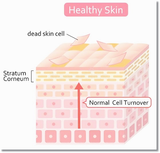 If You’re Curious About Skin Planning: Frequency, Effects, and Side Effects image 2