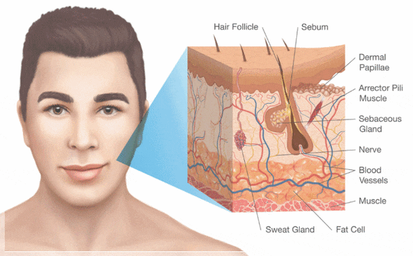 Hongdae Dermatology Clinic, Is It Okay to Have Several Lifting Procedures Together? image 4