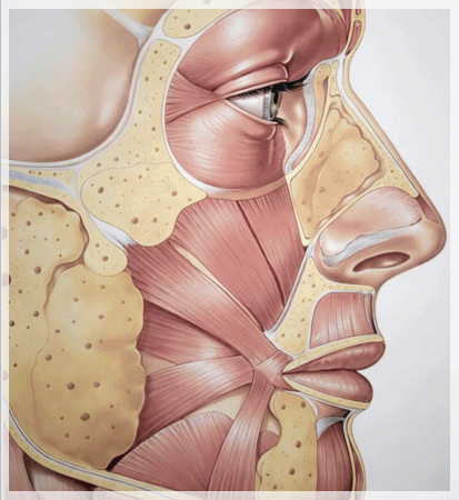 Dermatology Clinic Near Sinchon Station: Care Standards to Check Before Side Effects image 6