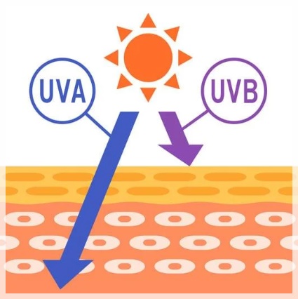 Wondering About the Lifting Effects of Shinchon Thermage? image 6