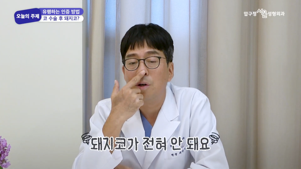 Plastic Surgery Consultation at Apgujeong Seoul Plastic Surgery: Is It Really Impossible to Make a “Pig Nose” After Rhinoplasty? image 3