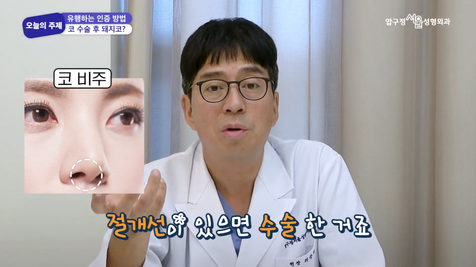 Plastic Surgery Consultation at Apgujeong Seoul Plastic Surgery: Is It Really Impossible to Make a “Pig Nose” After Rhinoplasty? image 6