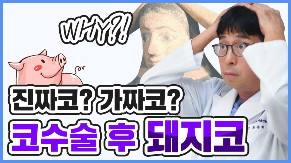 Plastic Surgery Consultation at Apgujeong Seoul Plastic Surgery: Is It Really Impossible to Make a “Pig Nose” After Rhinoplasty? image 1