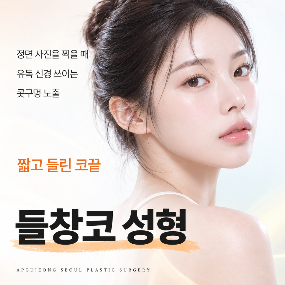 들창코 성형 압구정서울성형외과 "정면에서 콧구멍이 보인다면?" 관련 이미지 1