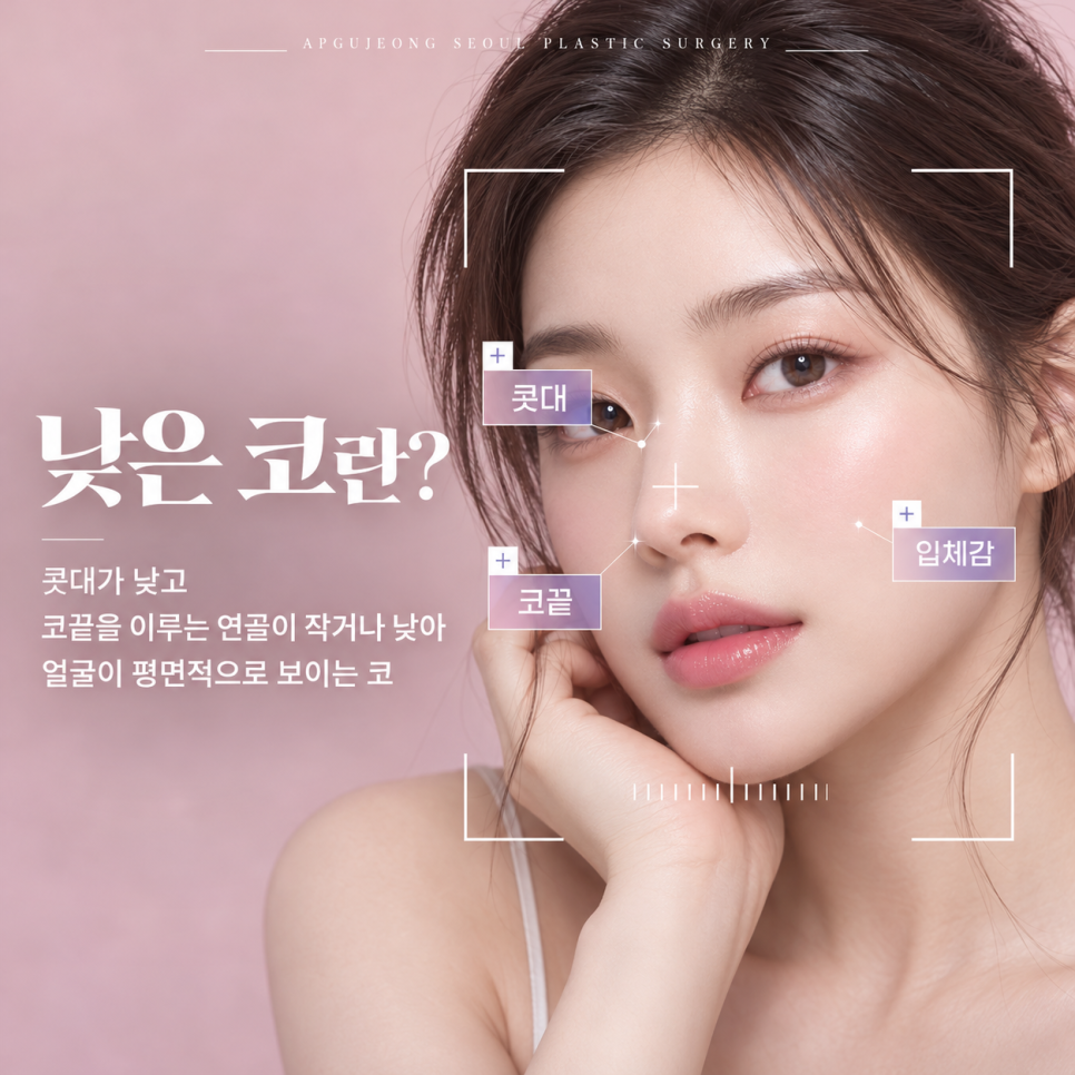 낮은코성형 압구정서울성형외과, 콧대보다 코끝이 중요한 이유 관련 이미지 2