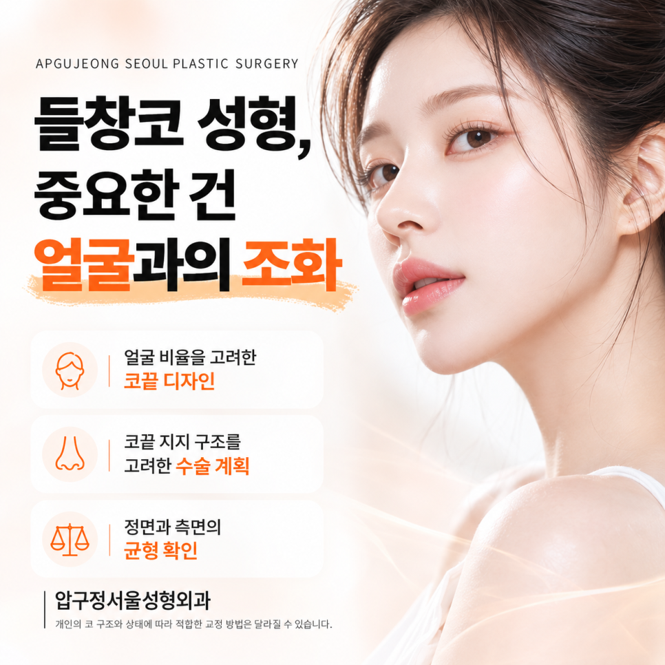 들창코 성형 압구정서울성형외과 "정면에서 콧구멍이 보인다면?" 관련 이미지 7
