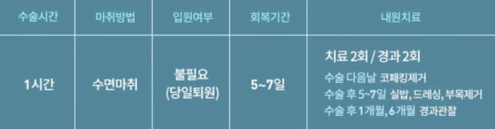 Escape from a Low Nasal Bridge at Apgujeong Seoul Plastic Surgery! image 2