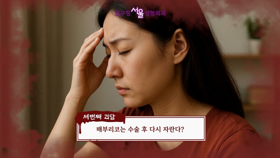 서울 압구정서울성형 코성형 부작용 코 재수술 오해와 진실 관련 이미지 8