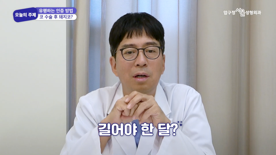 Plastic Surgery Consultation at Apgujeong Seoul Plastic Surgery: Is It Really Impossible to Make a “Pig Nose” After Rhinoplasty? image 5