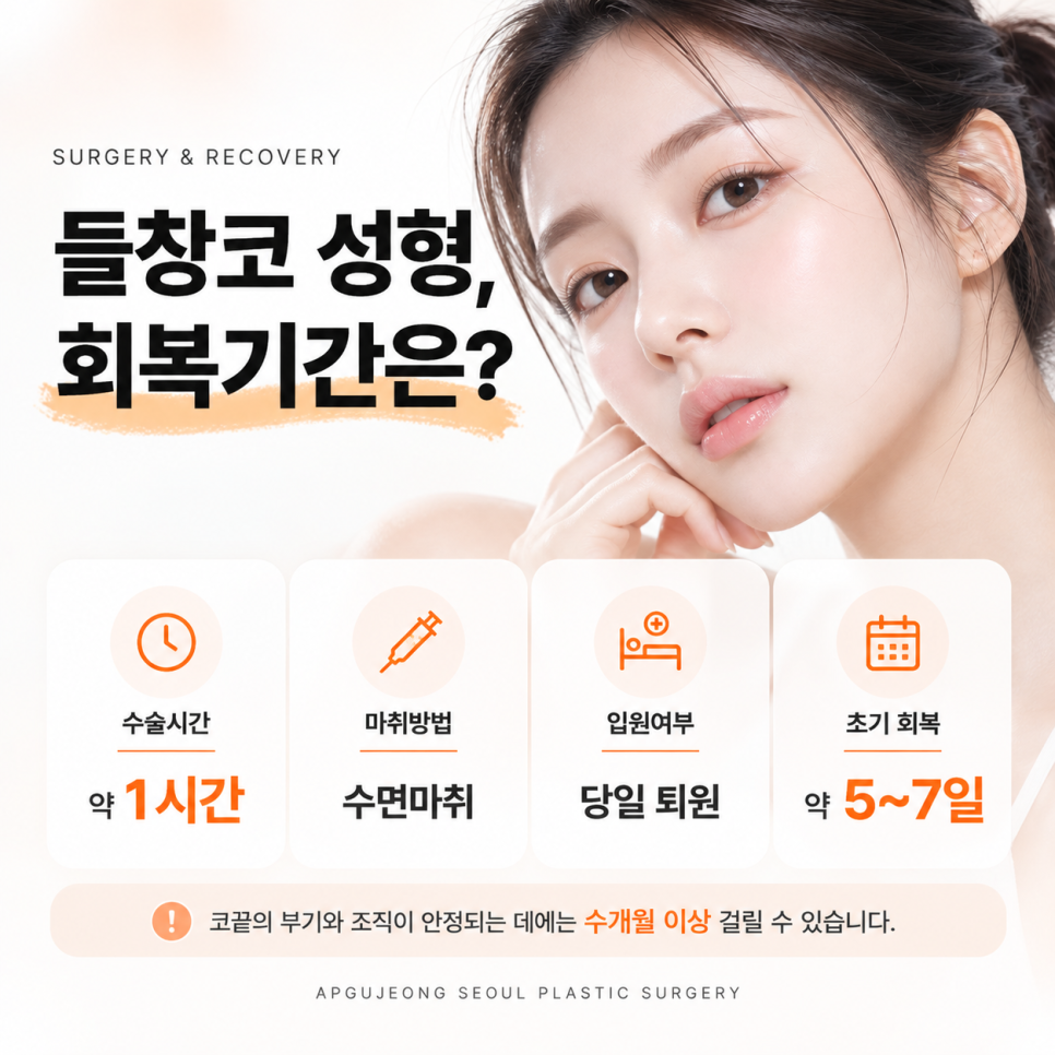 들창코 성형 압구정서울성형외과 "정면에서 콧구멍이 보인다면?" 관련 이미지 5