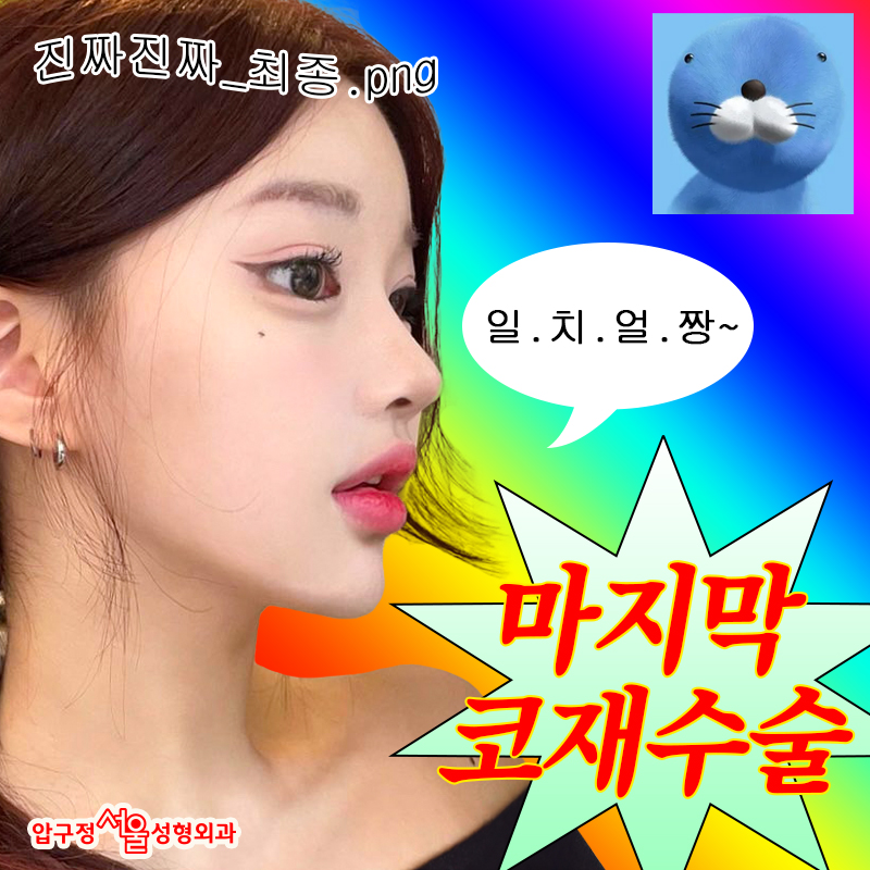 Revision Rhinoplasty Plastic Surgery: Female and Male Nose Surgery at Apgujeong Seoul Plastic Surgery image 1