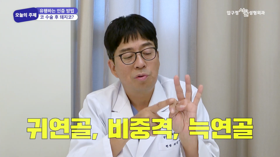 Plastic Surgery Consultation at Apgujeong Seoul Plastic Surgery: Is It Really Impossible to Make a “Pig Nose” After Rhinoplasty? image 4