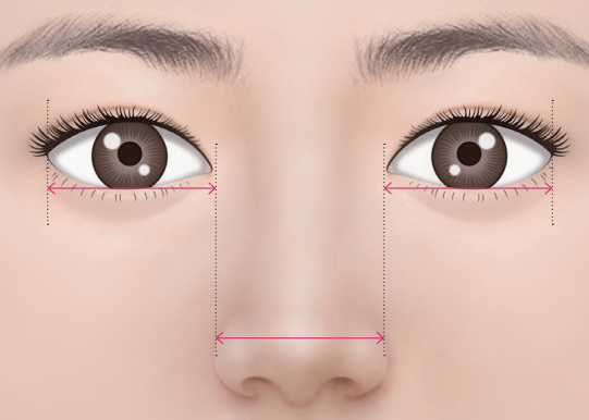 [Apgujeong Seoul Plastic Surgery] Ideal Eye Shape? image 1