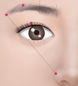 [Apgujeong Seoul Plastic Surgery] Ideal Eye Shape? image 3