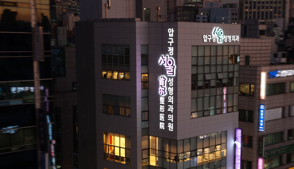Seoul Plastic Surgery Recommendation: Still Debating It? image 17