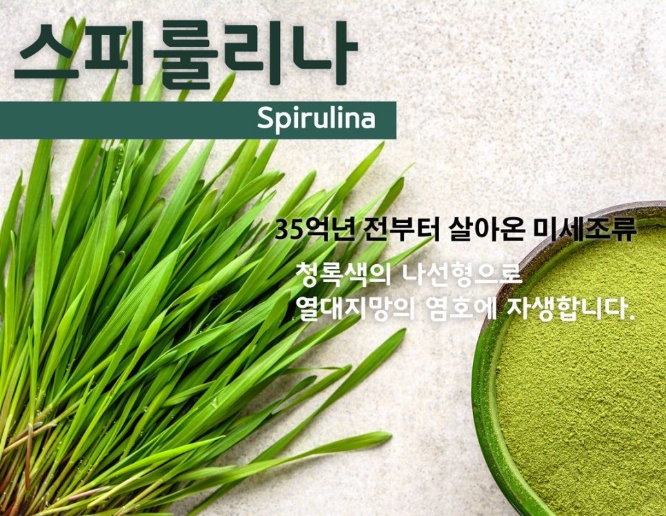 [홍대피부과] 제이필의원의 차원이 다른 천연 PDT 여드름 관리 관련 이미지 2