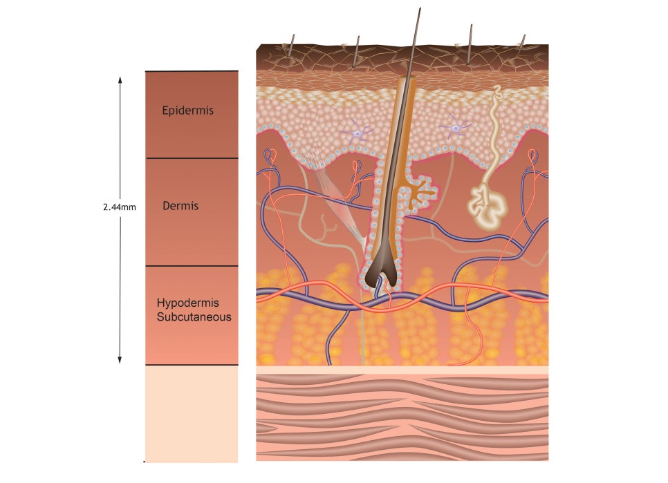 Summer Sebum · Pore · Lifting Care Guide|Jfeel Clinic July Programs image 6