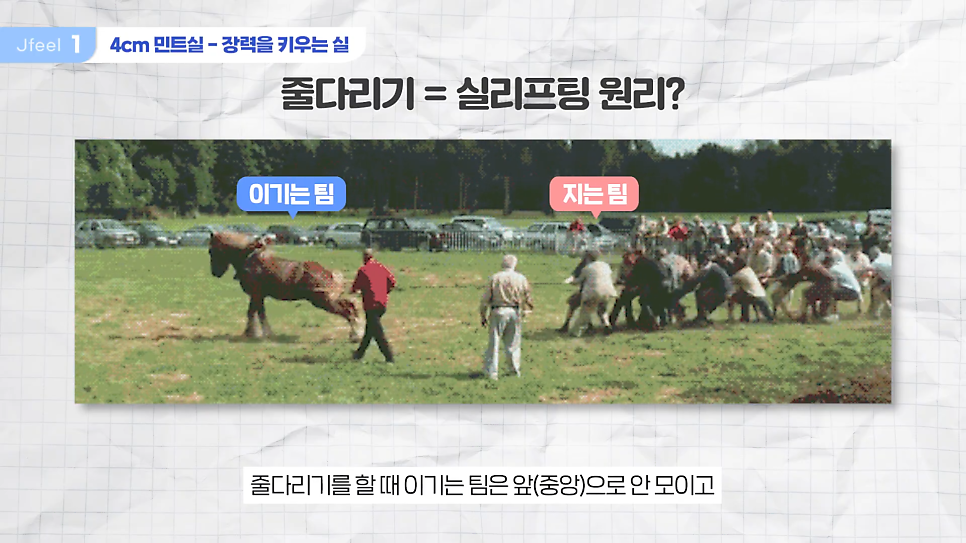 민트실을 돼지고기에 넣는다면? 실리프팅 실험 관련 이미지 2