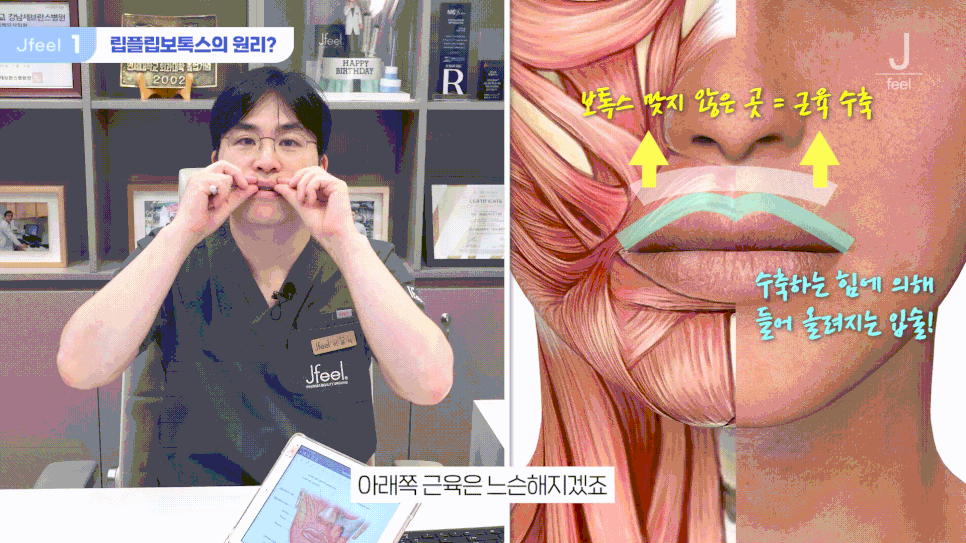 신촌역 피부과 추천 립플립 입술보톡스, 눈썹거상 보톡스 관련 이미지 5