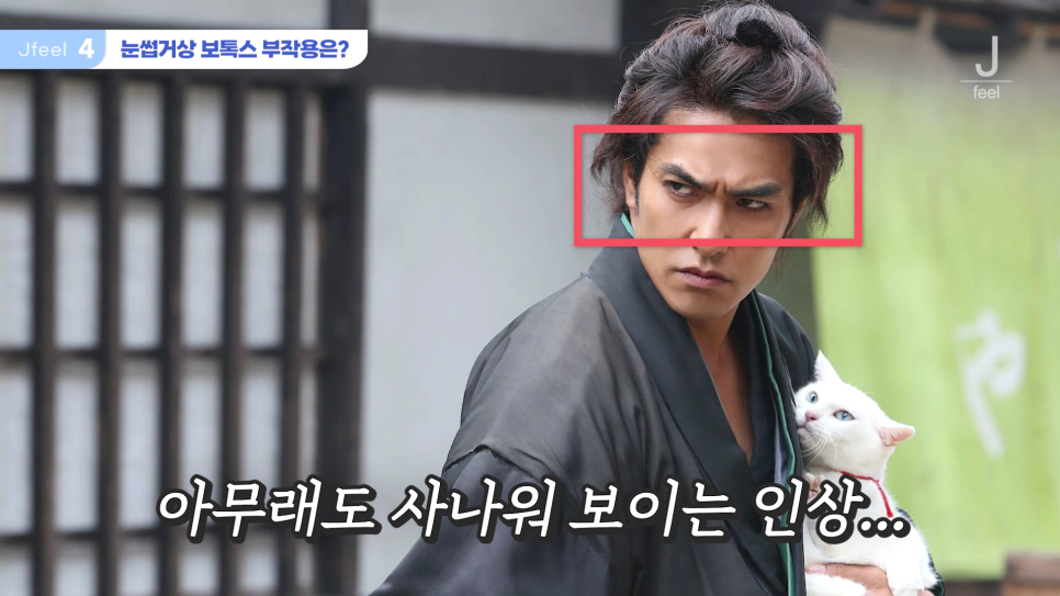 신촌역 피부과 추천 립플립 입술보톡스, 눈썹거상 보톡스 관련 이미지 10