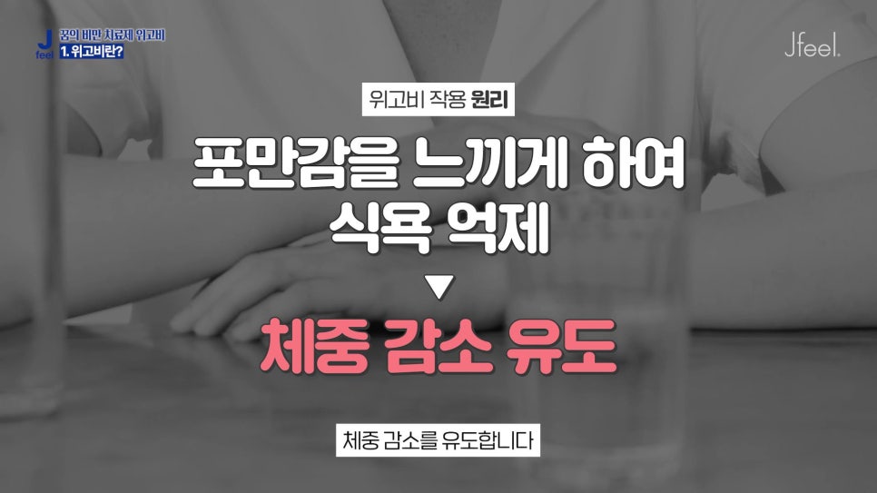 위고비의 진실 1편, 가격&효과 비교분석! 관련 이미지 8