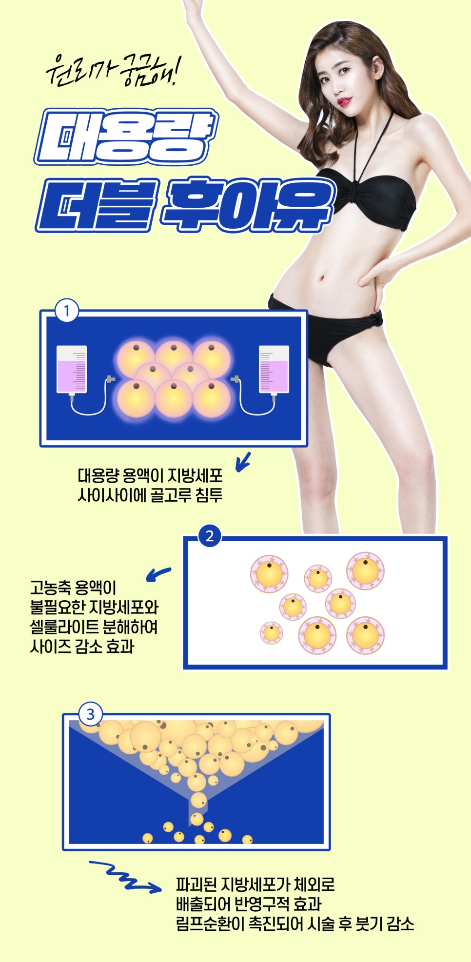 체형관리, 대용량더블후아유로 미리 여름 준비 관련 이미지 4