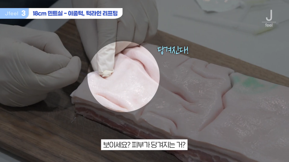 민트실을 돼지고기에 넣는다면? 실리프팅 실험 관련 이미지 12