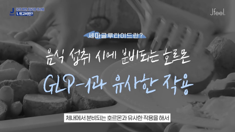 위고비의 진실 1편, 가격&효과 비교분석! 관련 이미지 7