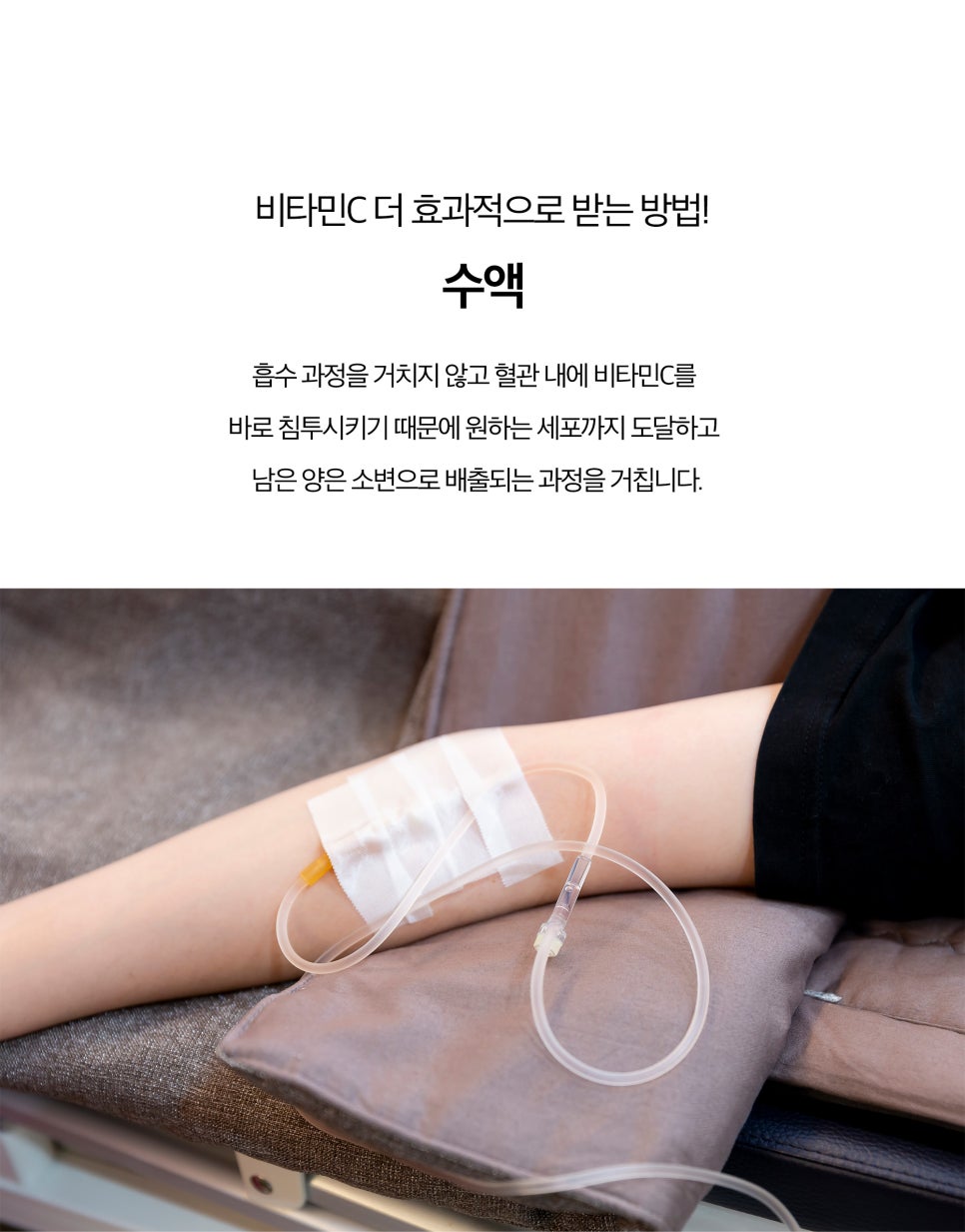비타민C 흡수 최대로 하는 방법 관련 이미지 4