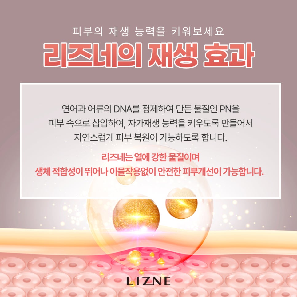 피부재생주사 리즈네 스킨부스터 관련 이미지 5