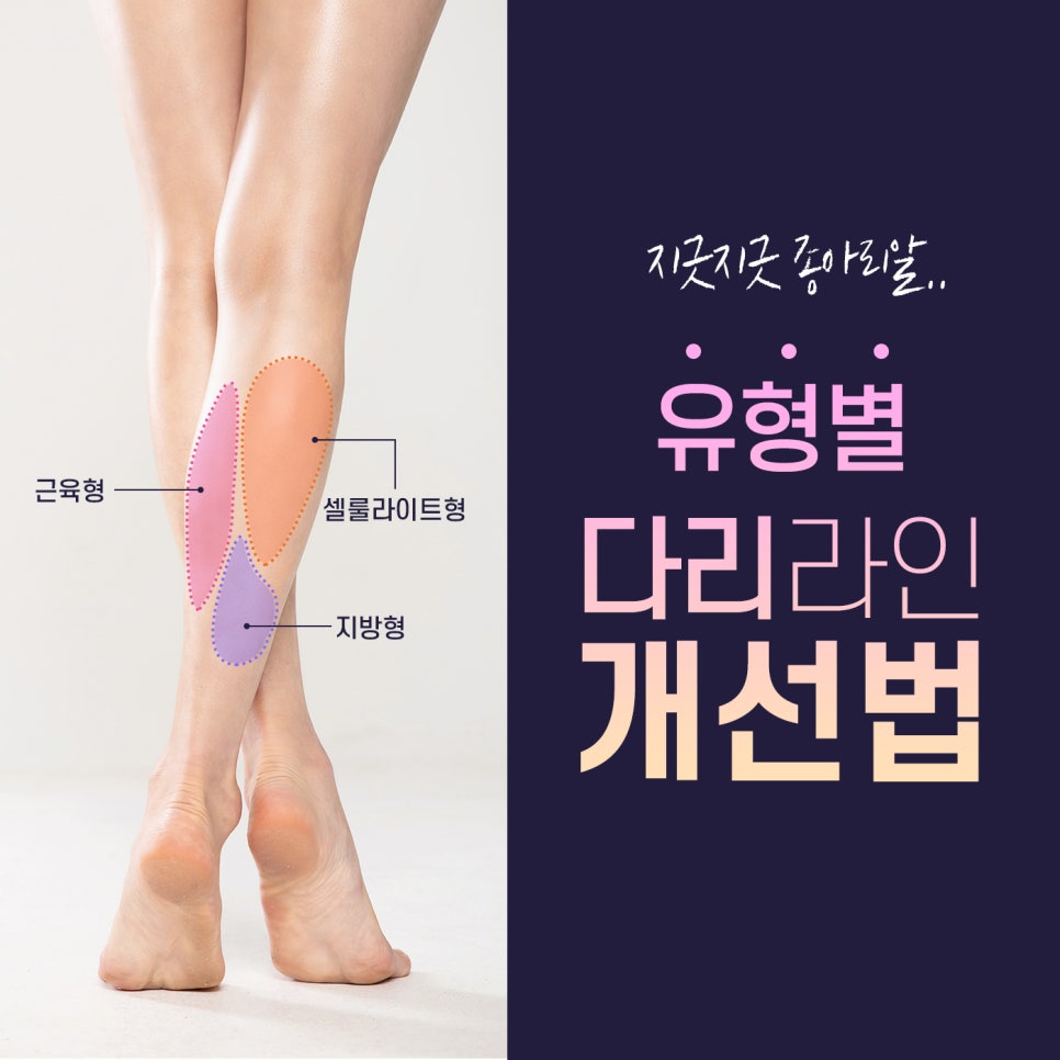어느계절이나 날씬하고 예쁜다리 만드는 방법 관련 이미지 4