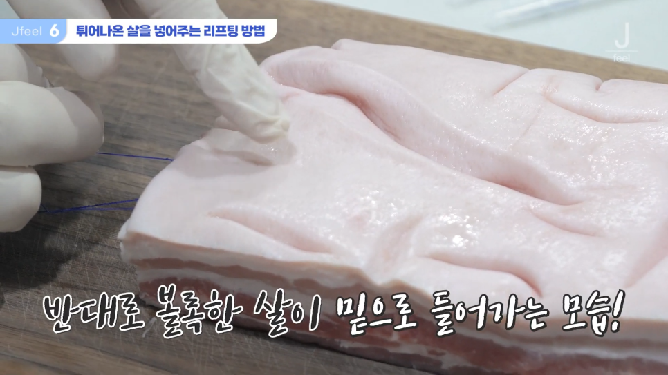 민트실을 돼지고기에 넣는다면? 실리프팅 실험 관련 이미지 19