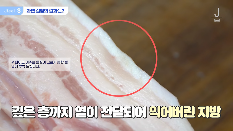 지방레이저가 얼굴 지방을 얼마나 녹일 수 있을까? 관련 이미지 12