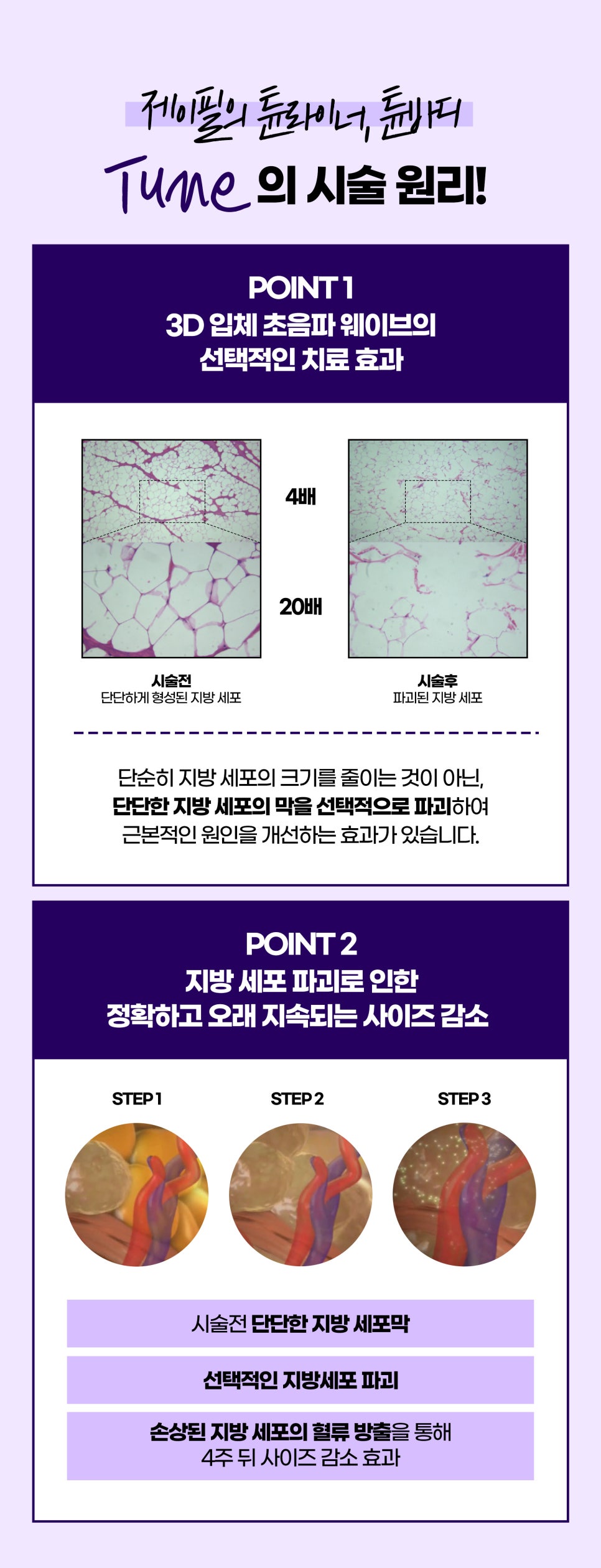 홍대튠페이스로 콜라겐 촉진과 지방 파괴 관련 이미지 8
