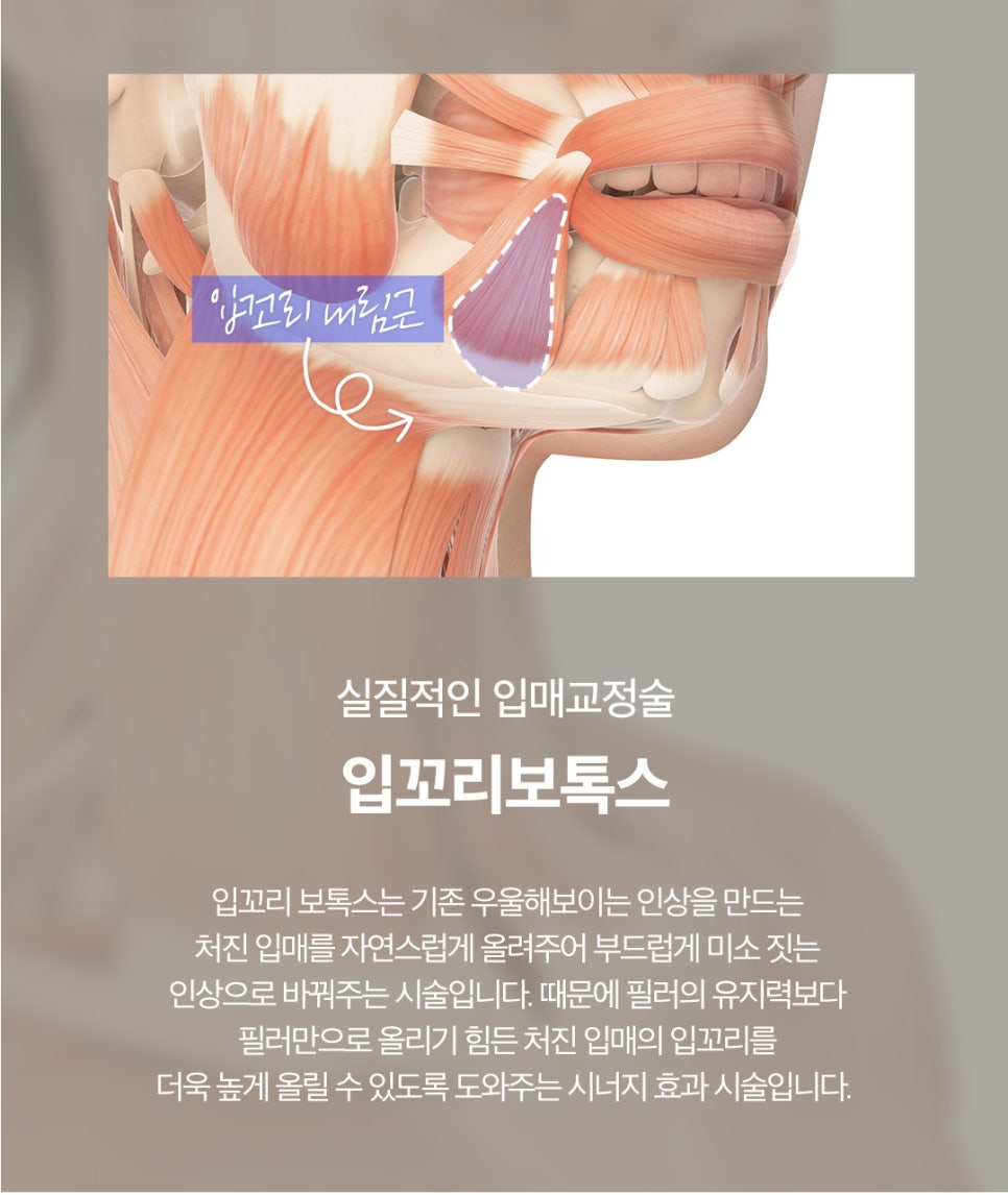 입술전체필러로 탱글 볼륨 만들기 관련 이미지 5