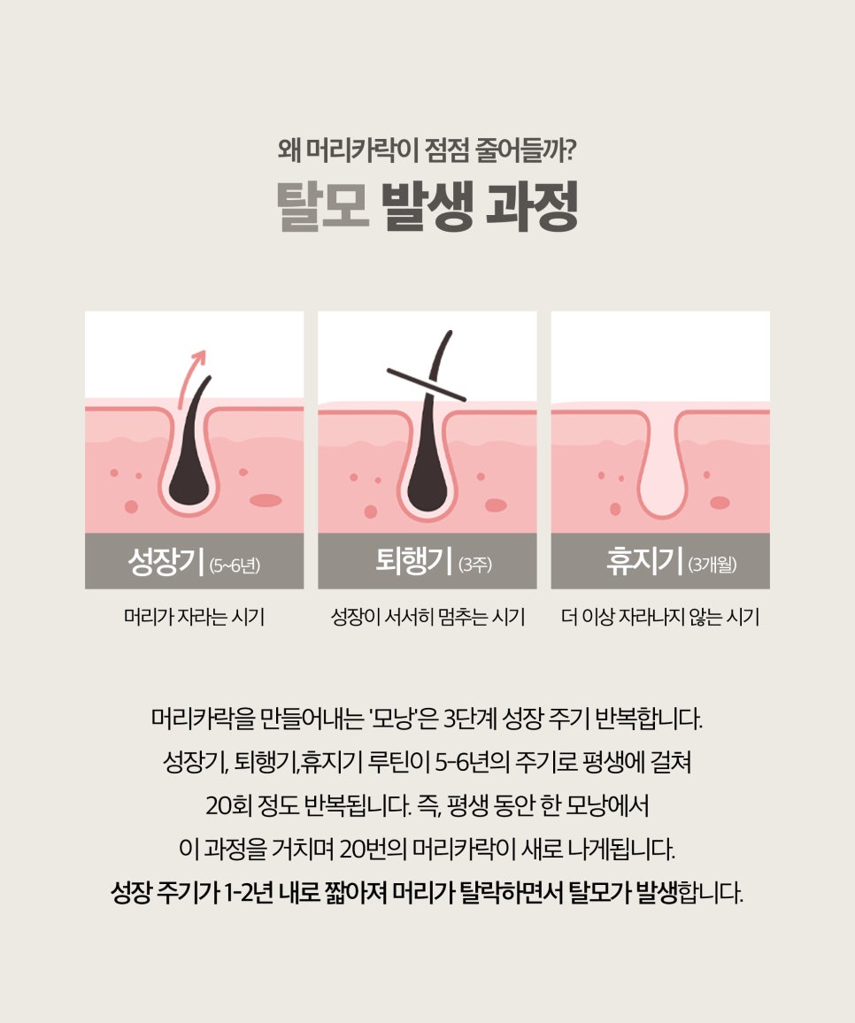 Hongdae Hair Loss Dermatology Clinic Scalp Botox Price: Essential Before Getting Scalp Hyperhidrosis Botox! image 4