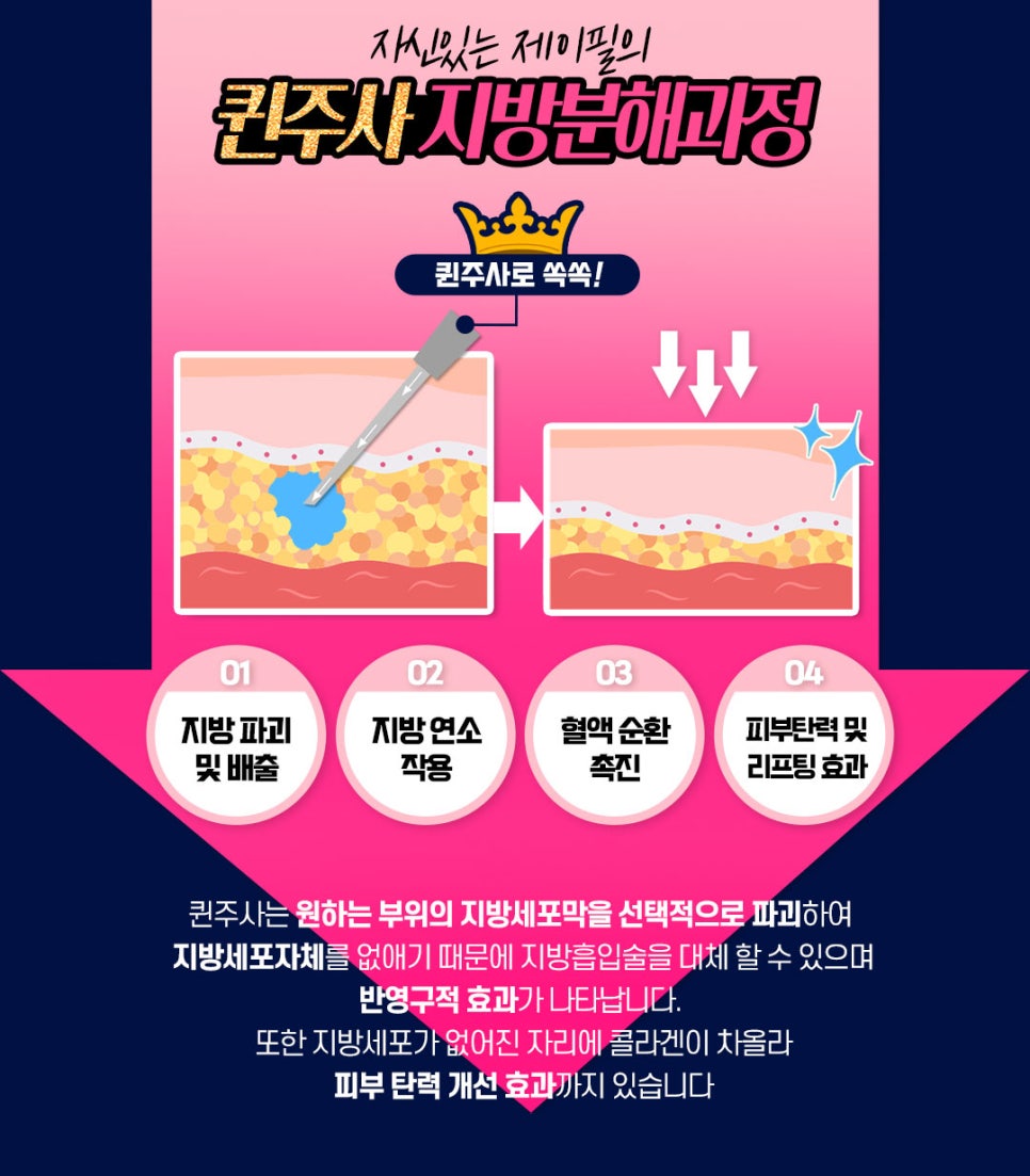 단기다이어트 핵심! 체지방, 셀룰라이트 분해하고 체중감량 하는 법 관련 이미지 4
